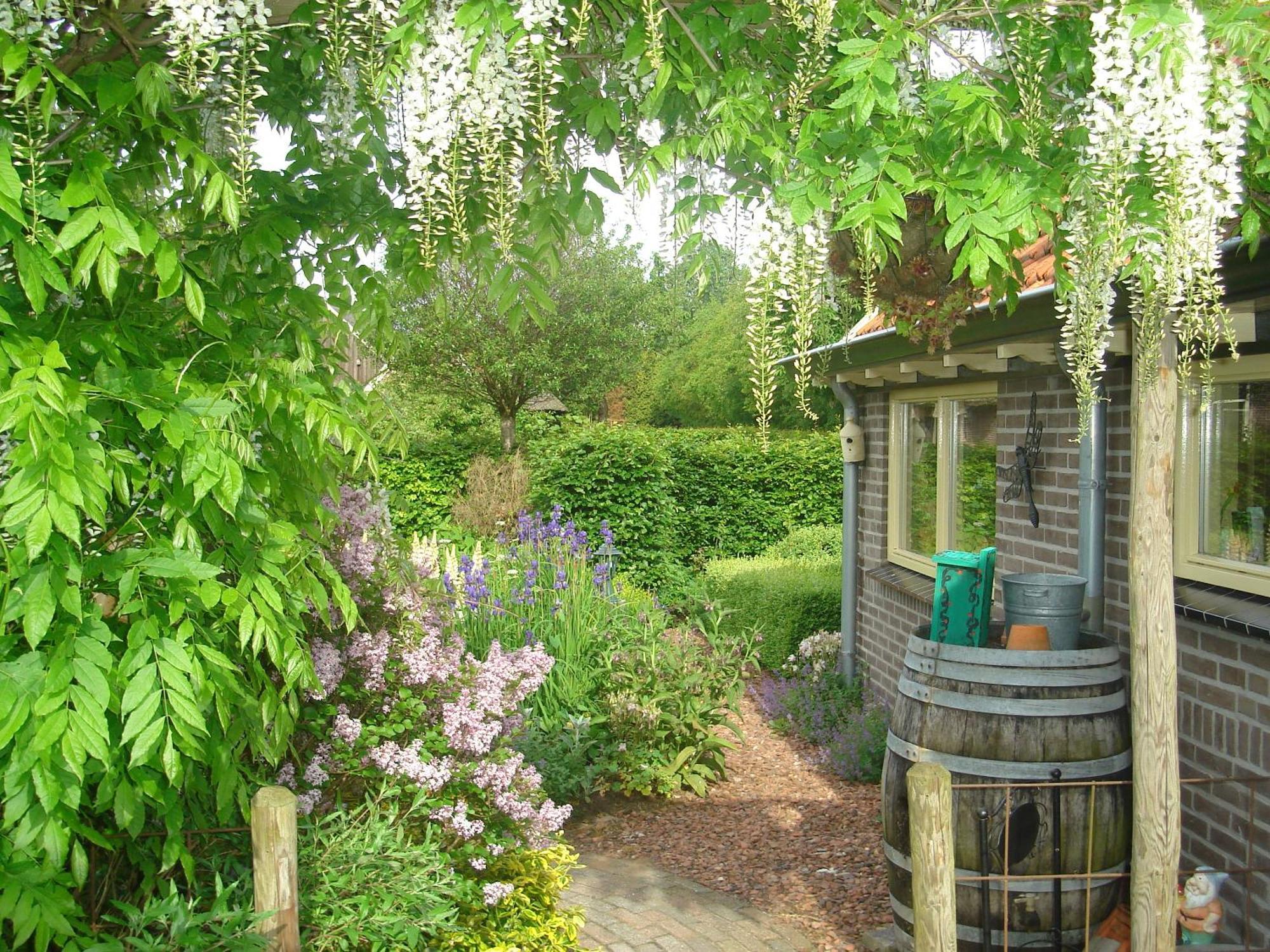 Roing B&B Hijken Exterior foto